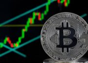 Halving Bitcoin, Apakah Pengaruhnya terhadap Harga Pasar?