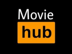 Download Movie hub. Apk solusi nonton film sementara cocok untu stb b860,hg680