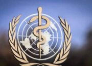 WHO Gelar Sidang ke-146  Kondisi Darurat Internasional Virus Corona, Apa Hasilnya?