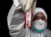 Malaysia Tak Percaya Rapid Test Bisa Deteksi Virus Corona