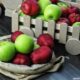 buah apel 1 Kenali 10 Manfaat Sehat Buah Apel untuk Tubuh