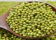 Manfaat dan Kandungan Nutrisi di dalam Kacang Hijau