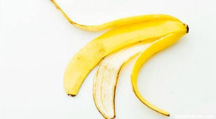 kulit pisang 1 6 Cara Memanfaatkan Kulit Pisang untuk Suburkan Tanaman