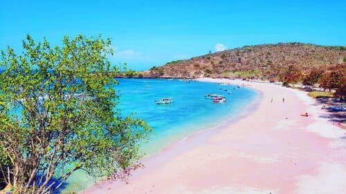 pink beach lombok 8 Destinasi Wisata Indonesia Terbaik Beserta Ulasannya