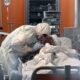 Petugas medis merawat pasien virus corona di Italia Kematian Akibat Virus Corona di AS Tembus 20.000, Tertinggi di Dunia