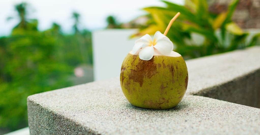 ilustrasi kelapa muda 1 Manfaat Air Kelapa Hijau untuk Kesehatan dan Obat Tradisional