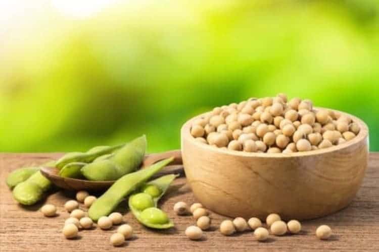 kacang kedelai 1 8 Manfaat dan Kandungan Gizi di Dalam Kacang Kedelai