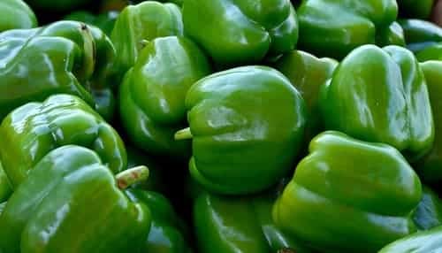 paprika hijau Makanan Sehat yang Membuat Tubuh Langsing