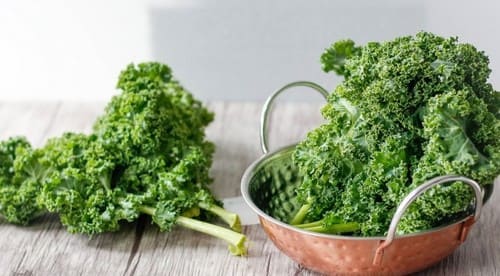 sayuran kale Makanan Sehat yang Membuat Tubuh Langsing
