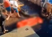 Viral Kasus Anak Buah Kapal (ABK) Pencari Ikan di Kapal China