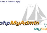 Cara Mengubah URL di Database MySQL Tanpa Menggunakan Plugin