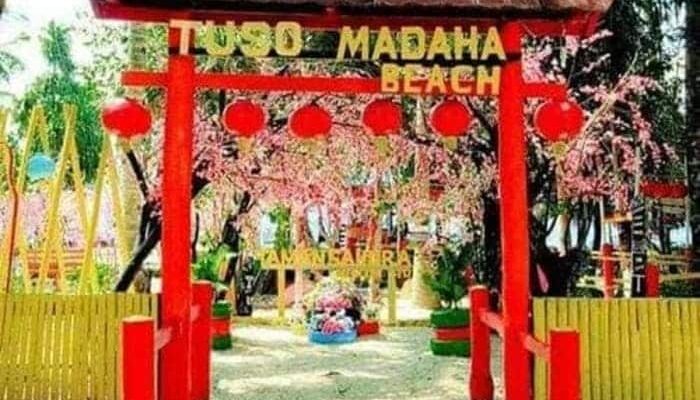 Taman Sakura Ternate, Tempat Wisata Mirip di Jepang