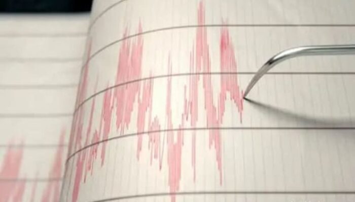 Gempa Mag: 5.0 di Tolikara Papua, Tak Berpotensi Tsunami