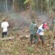 Babinsa Bersama Warga Buka Lahan Pertanian di Kampung Subur 1 1 DPR Ragukan kesiapan lahan pertanian 30 Ribu Hektar Di Kalteng Bisa Ditanami