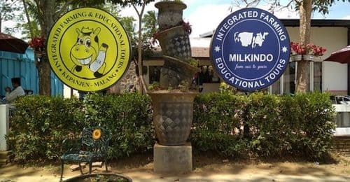 Milkindo 6 Wisata Edukasi Di Malang