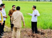 Kementerian Agraria Serahkan Data Hasil Survei Tanah Pengembangan Food Estate