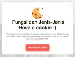 Fungsi Dan Jenis-Jenis Cookies, Web