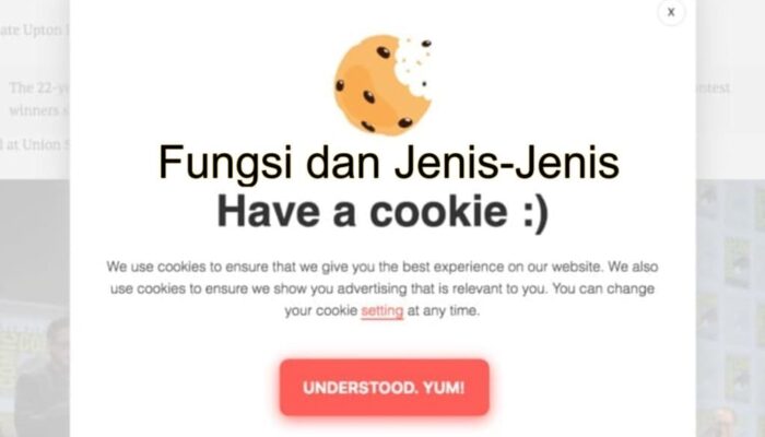Fungsi Dan Jenis-Jenis Cookies, Web