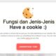 Fungsi dan Jenis cookies Fungsi Dan Jenis-Jenis Cookies, Web
