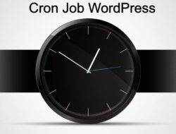 Cara Setting Cron Job WordPress Eksternal Untuk Kinerja Lebih Cepat