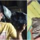 Josua Hutagalung Jatuhnya Meteor di Indonesia Sempat Viral. Apa Sih, Batu Meteor Itu?