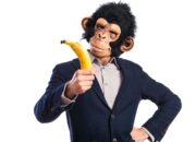 Mengenal Istilah Monkey Business atau Bisnis Monyet!