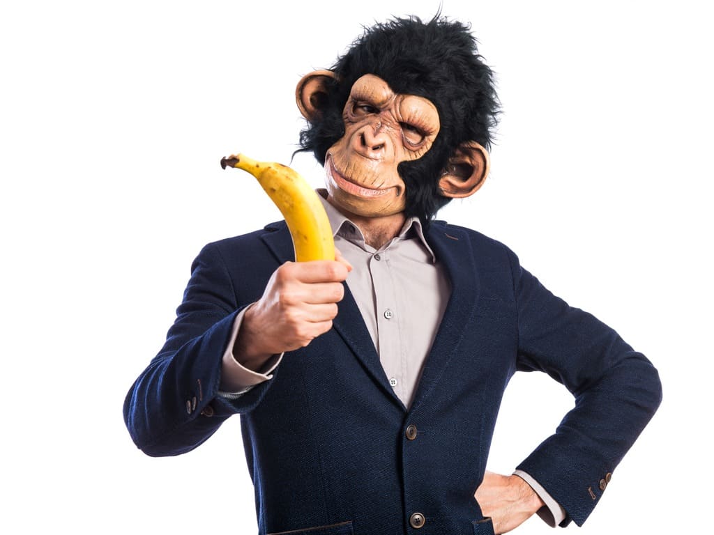 Monkey Business Mengenal Istilah Monkey Business atau Bisnis Monyet!