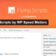 Flying Script Cara Mudah Memasang Lazy Load Adsense di Wordpress