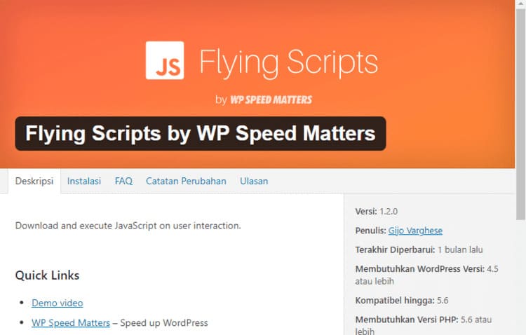 Flying Script Cara Mudah Memasang Lazy Load Adsense di Wordpress