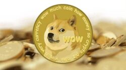 Dogecoin Dogecoin: Pesaing Bitcoin Yang Lagi Naik Berkat Tweet Elon Musk