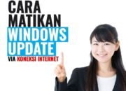 Cara Matikan Windows Update Via Koneksi Internet