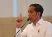 Jokowi Minta Menteri Bagikan Vitamin Dan Obat Pada Masyarakat