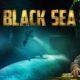 Black Sea 2014 Sinopsis Black Sea (2014), Berburu Emas Peninggalan Nazi di Dasar Laut